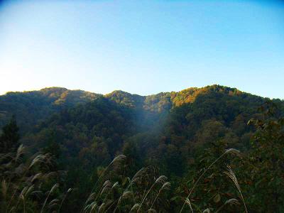 本日は晴天なり。これは展望が期待できそう