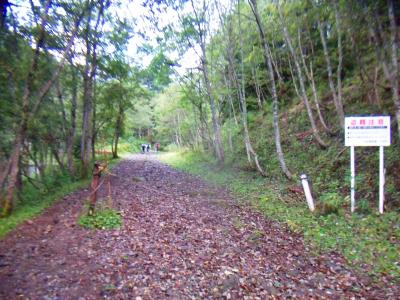 しばらくなだらかな林道っぽい道が続く
