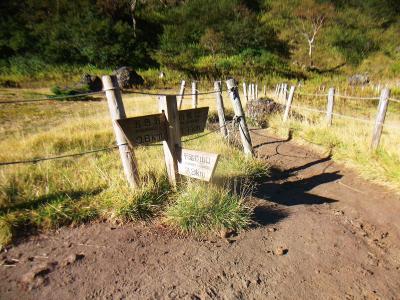 白根山まで1.1km。この距離は時間的に結構長そうだ