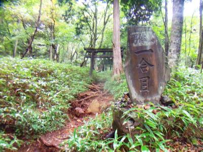 ここが一合目。ここからスタートだけど、もう今日は雨で展望は諦めるか・・・