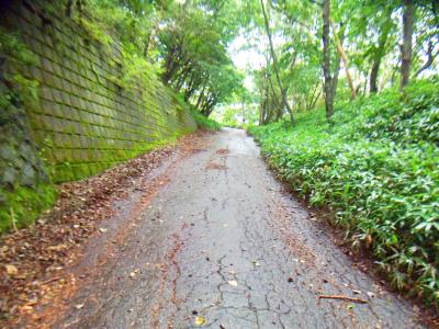 ここは管理道路なのか、途中で道路とは・・・