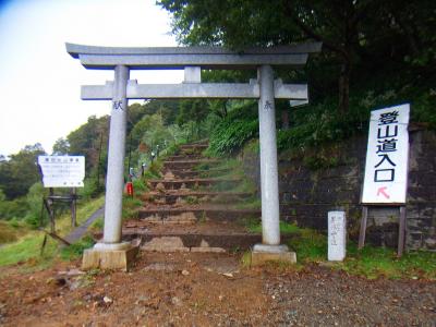 この鳥居から再び登山道へ