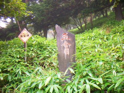 ここで五合目。でも距離的！？標高的！？にはまだ半分きてないんよね、おそらく・・・