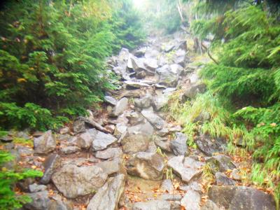 この付近からガレ場になってくる。雨で塗れているので非常に歩きにくい