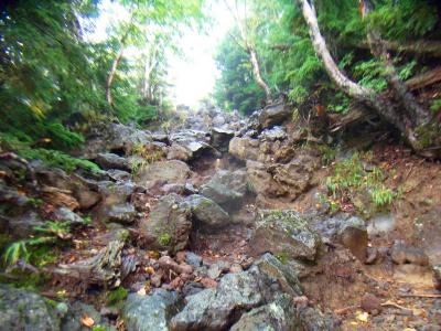 滑り易いガレ場で足の筋肉を使ってしまう。地図みてもわかるように、男体山ってほぼ直登なんよね