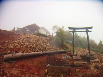 また鳥居だけど山頂と思わしき場所がみえた！