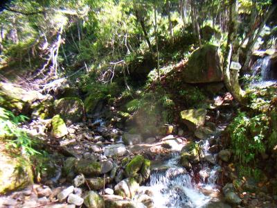 地図みてもわかるように最初は沢筋を歩く