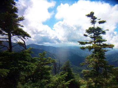 ここで少しだけ展望があった。何の山が見えてるのかわからないけど、ここが山深い場所だということだけはわかる