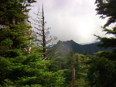 あのちょっと珍しい山はなんだろうか！？