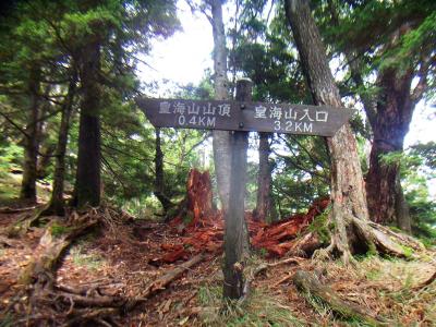そうこうしているうちに、あと0.4km地点まできた。もうすぐ山頂だ