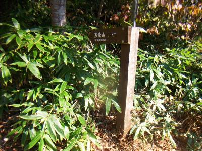 黒桧山登山口。黒桧山まで1.1kmと余裕ですな