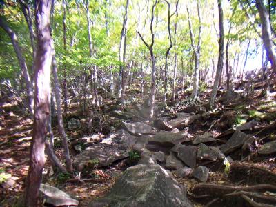 登山道は整備されているがガレ場が歩きにくい