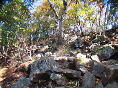 ガレ場が続くけど、尾根っぽいところが見えたけど、まだ尾根ではない