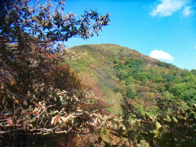 色づき始めた山と青空はいい感じ♪