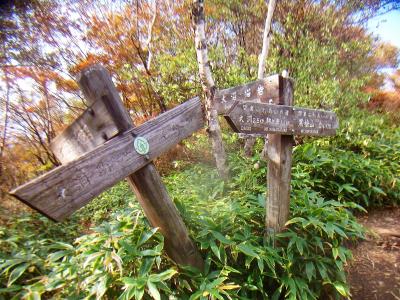 歩き始めて数十分でもう尾根に取り付いた。あと0.1kmと早かった