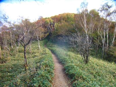 気持ちの良い稜線歩き。ここから駒ヶ岳への登りがはじまるが、これもすぐだった