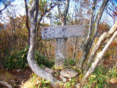 駒ヶ岳山頂だけど看板がもはや何かいているかわからない