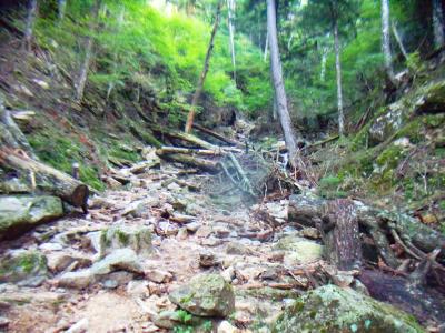 迷いはしないけど、この付近はガレ場でかなり荒れている感じ