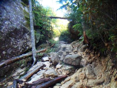 これは道なのか？と思うようなところだけど、迷うようなところはなく、道なりに進む