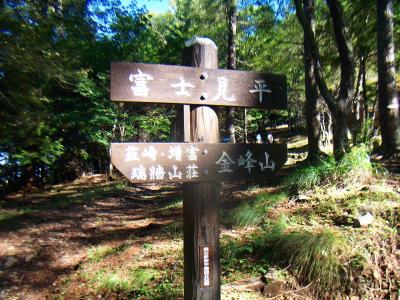 瑞牆山から富士見平に戻り、続いて金峰山を目指す