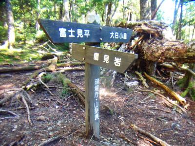 とりあえず大日小屋を目指す