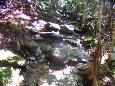 この付近は岩が濡れていて滑り易い