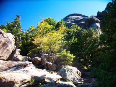 この辺から岩場になってきた