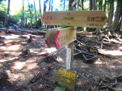 大日岩の分岐。金峰山頂まで1時間50分かって思ったけど実際はもう少し早かった