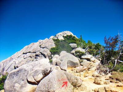 完全に岩場のコースになってきた。尾根だから迷わないけどペンキで印もちゃんとついている