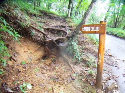 今日は天気が悪いけどとりあえず登山道を行く