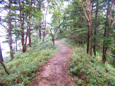 とりあえず山頂を目指して登山道をせっせと歩く