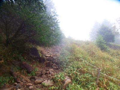 ここからガレ場の視界がある登りになるが、岩が濡れていて滑り易い。しかもガスって何も見えない