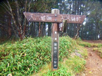 雷岩に到着。岩の上からはガスって何も見えないので撮影はしなかった