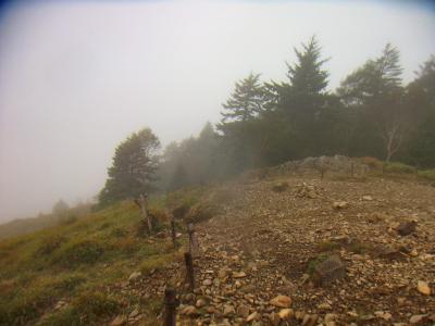 下山時もガスははけず・・・今日はずっとこんな感じなんだろうなっと思いながら下山