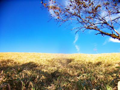 この日は文句のない晴天に恵まれている。これは期待できそうだ！