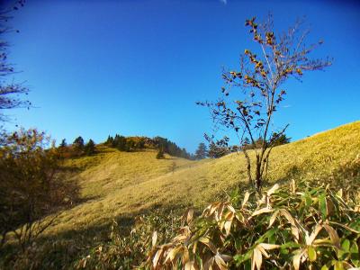 晴れているとこんな風に見えるのか！？まあ季節的なものもあると思うけどね