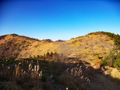 前回はガスで見えなかったけど、こんな風に見えるんやね