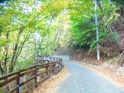 いつもながら林道（舗装道）歩きは暇というかつまらないというかしんどい