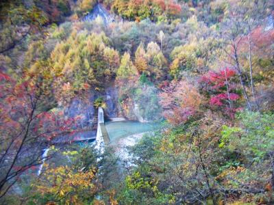 堤防と紅葉を撮影。もう１０月末だからね～