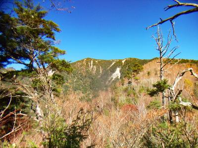 向こう側に山が見えるけど、形的には甲武信ヶ岳ではなさそうだ。しかし、文句ない晴天だ