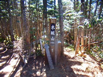 ピークに登ると木賊山(2469m)に到着。景色は堪能したけど息切れでヘトヘト。でも甲武信ヶ岳はまだこの先なんよね