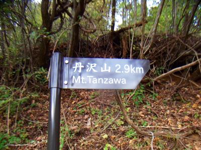 あと2.9kmか。林道はまだ終わらないけど、もうすぐかな！？