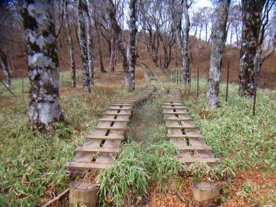 さすがは丹沢山。こういう道はキッチリ整備されている