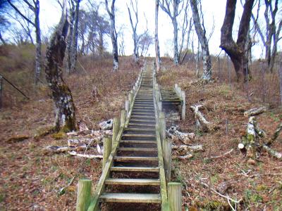この階段を登って少しいった先が山頂だったような気がする