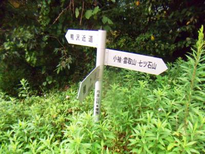 七ツ石山を経て雲取山を目指す