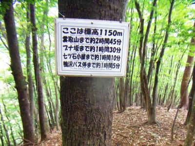 標高1150m地点。雲取山まで２時間４５分もかかるのか！？地図で見てもロングコースなので仕方がない