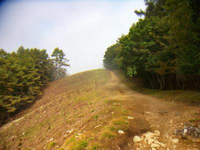 この付近からこういう歩いていて気持ちの良い道が続く。晴れていればなぁ～