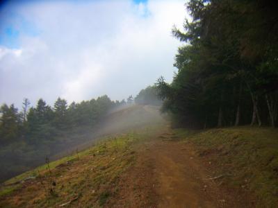 途中で晴れ間がでてきたけど、ガスがはけることはない。今回の展望は諦める