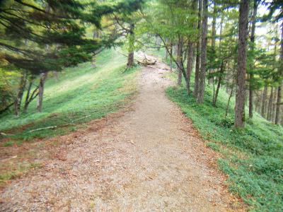 道が整備されているのもあったのか、この尾根道は非常に歩きやすい。急登もないしペース乱れずリズミカルに歩ける