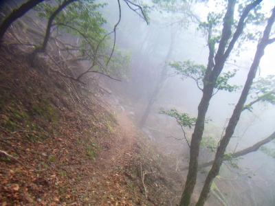 下山時もガスの中。今日はずっとこんな天気なんだろうな。というよりガスがひどくなってきていた